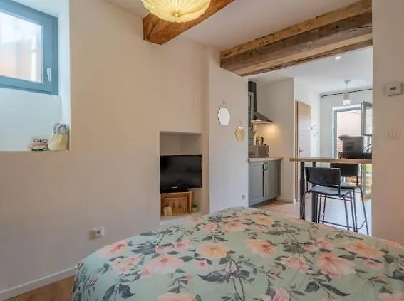 Charmant Studio A 5 Minutes De Villefranche Lacenas France